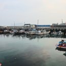 제주 올레길 7코스 이미지