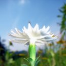 금정체육공원 이미지