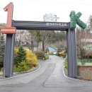 남이섬리조트4 이미지