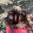 유성농장 5농장 이미지