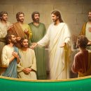 샤론의꽃 이미지