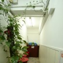 드림하우스 민박 이미지