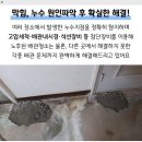 태화지구대 화장실 이미지