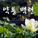 기룡마을회관 이미지