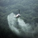 나무 206 이미지