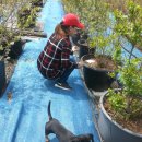 갈렙농장 이미지