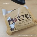 대덕대로(유성-6) | 한국수력원자력(한수원) 중앙연구원 체험형 인턴 2달 근무 후기