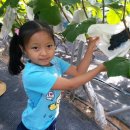 문수농장 이미지