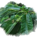 한덕농장 이미지