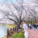 아이파크 앞(골드온천타워 방향) | 2025 석촌호수 벚꽃 축제 개화시기 &amp; 롯데월드몰 놀거리