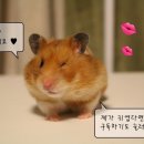 청기와집뼈감자탕 이미지