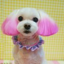 성내동물병원 이미지