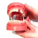 한치과기공소 이미지