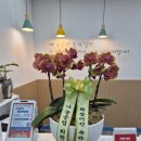 이매초교 뒤 이미지