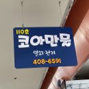 신안코아만물