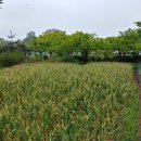 영암민박 이미지