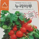 토마토누리 이미지