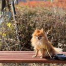 D&C 그루밍 샵 이미지