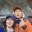 3015 | 네덜란드 여행 암스테르담 근교 도시 로테르담 건축 투어