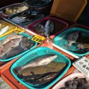 테마25모텔 이미지