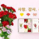 다이소 - 동구 초량상로 91 | 다이소
