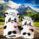 펫스타일 이미지