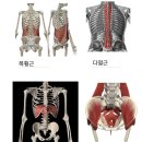 예인필라테스