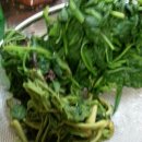 삼포농장 이미지