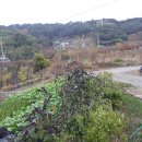 봉전마을 이미지