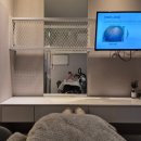 UR(오산시)-[법원로]-하-5 | 웰킨두피탈모센터 송파문정점 | 파워스케일링 후기