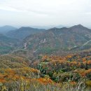 호계1동 주민센터 앞 이미지