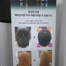 프롬지호