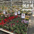 남사-18 | 서울근교 꽃/화분/분 아울렛, 용인 남사 화훼단지 에르베플라워아울렛 후기
