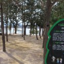 뚝섬한강공원-3 이미지