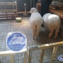 슈가PC카페 네이버블로그