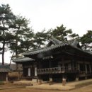 화원읍사무소 앞 | 홍매화의개화상태(2026.3.8)남평문씨본리세거지와 문익점목화밭,인흥서원,광거당,수석노태지관,석거산...