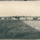 창원제2농장 이미지