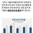 신이 내린 열매 '노니'의 효능 이미지