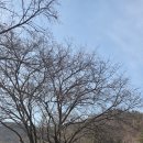 삼방초등학교 티스토리