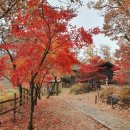 살롱드그레이시