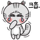 파니아토 이미지