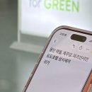 선샤인애월 | 잘 쉬다 갑니다, 제주 태교여행 기록