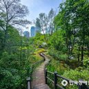 우면산 (서초약수터) 이미지