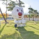 스포츠파크 씨름장 이미지