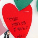 트리메드 이미지