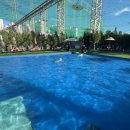 렛츠독 | 서울 근교 강아지수영장 부천 렛츠플레이독 방문 후기