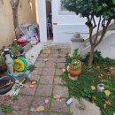 망미배산로 이미지