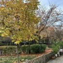 공원로 16길 이미지