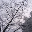 꿈꾸는 가 이미지