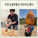국립대구박물관 북문 야외 | 경기도 수원 국립 농업박물관 어린이날 행사 35개월 참여 후기